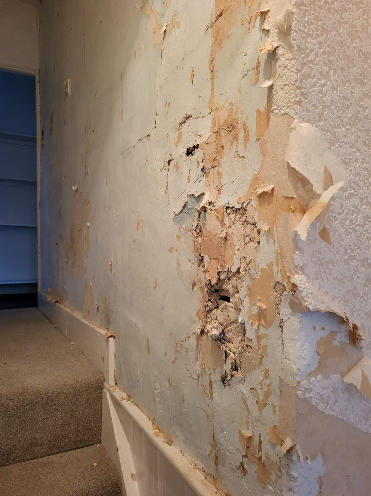 Wall treated for damp