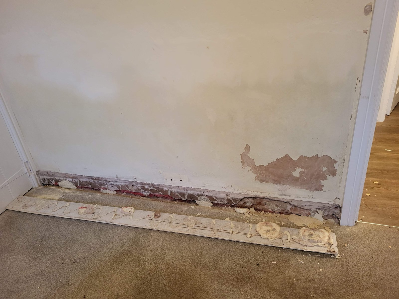 Skimmed wall after damp work