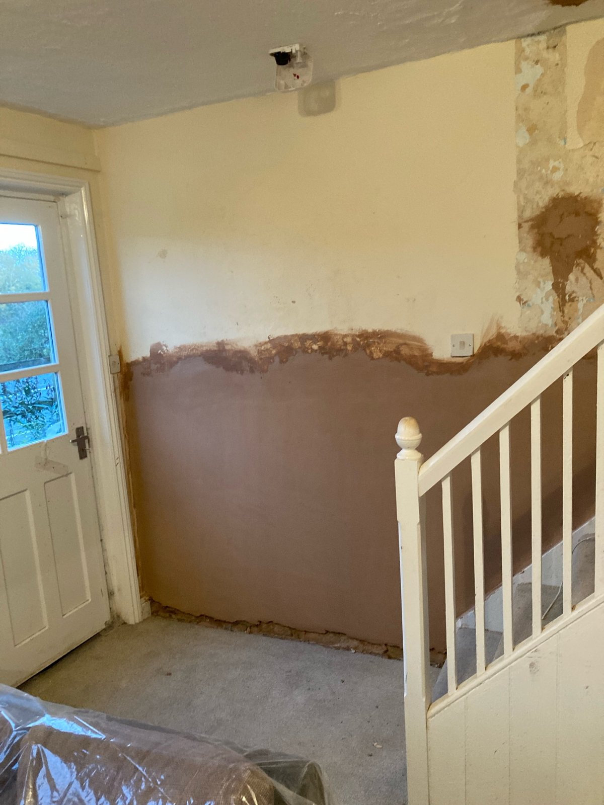 Damp work in progress