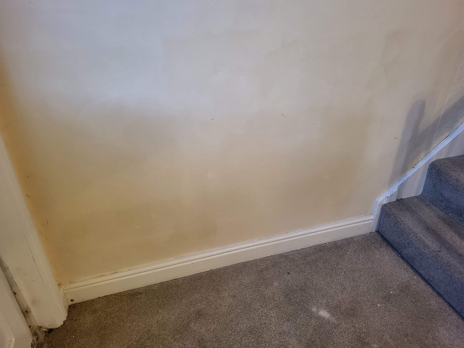 Damp proofing detail