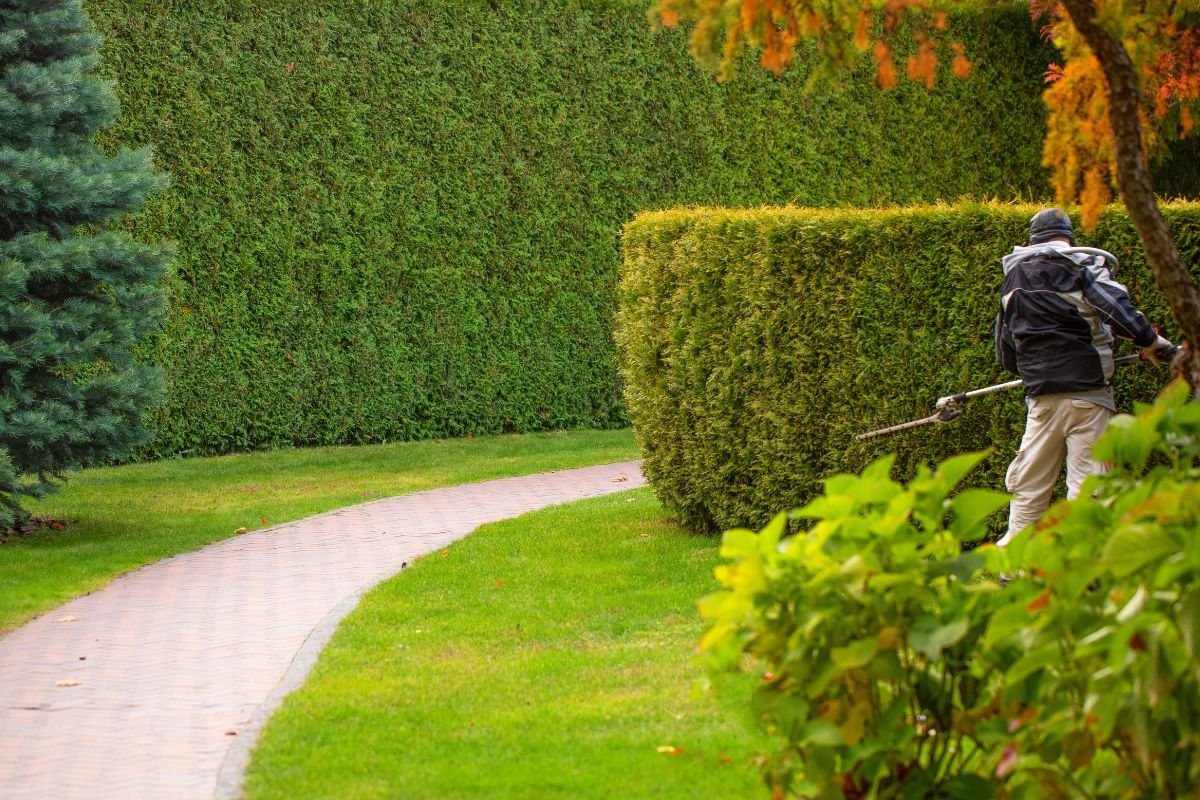 Gardening and landscaping